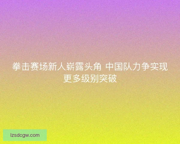 拳击赛场新人崭露头角 中国队力争实现更多级别突破